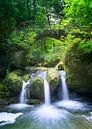 Fairy tale waterfall by Christa Krus thumbnail
