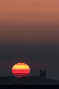 Lever du soleil à Zwolle