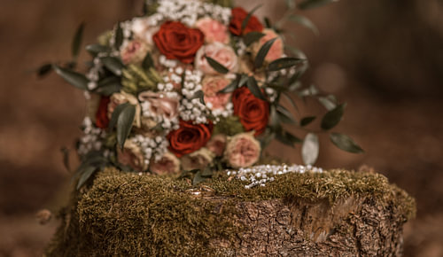 Wedding anniversary