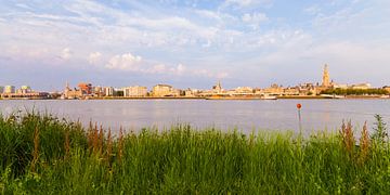Skyline van Antwerpen in België van Werner Dieterich