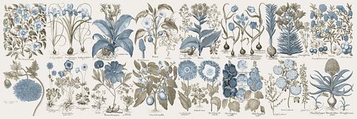 Botanical Wall Art,Blauwgrijze bloemen I