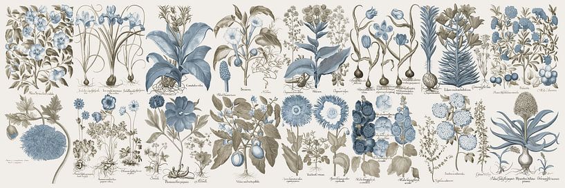 Botanische Wandkunst,Blau-graue Blumen I von finemasterpiece