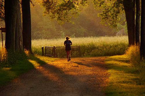 Joggen: het avondrondje in het bos