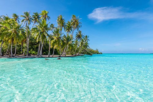 Paradis turquoise à Tahaa, Polynésie française