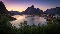 Reine, Lofoten, Noorwegen van Jelle Dobma thumbnail