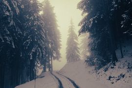 Innsbruck in fog and snow by Travel.san