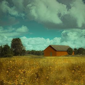 Red-brown barn in meadow surrounded by trees by Jille Zuidema
