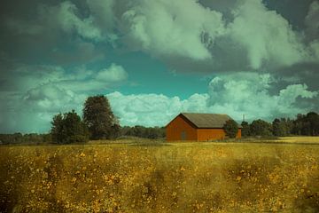 Red-brown barn in meadow surrounded by trees by Jille Zuidema
