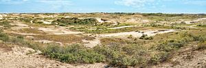 Dutch dunes and Amsterdam water supply dunes in panorama by eric van der eijk