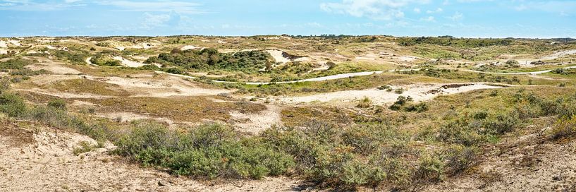 Dunes néerlandaises et dunes d'approvisionnement en eau d'Amsterdam en panorama par eric van der eijkj