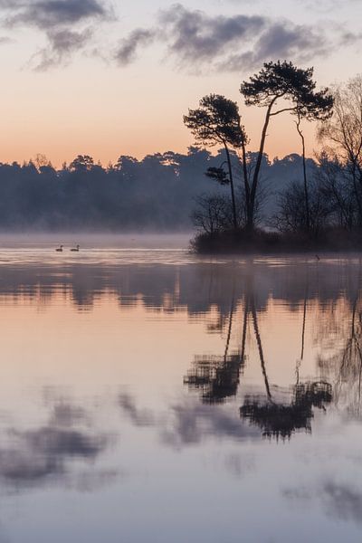 Voorste Goorven, Oisterwijk NB, NL par Vivianne Molenaar-Seinen