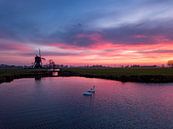 Zwanen bij zonsopkomst van Martijn de Ruijter thumbnail
