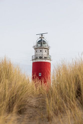 Leuchtturm von Texel