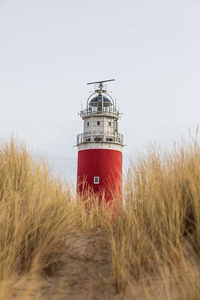 Leuchtturm von Texel von Jesper Oosterlaak