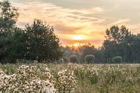 Sonnenaufgang