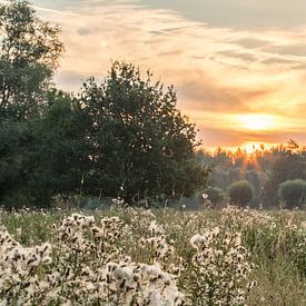 zonsopgang van Marinella Geerts