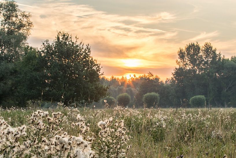 sunrise by Marinella Geerts