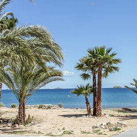 Under the palms on Ibiza beach by Wijbe Visser