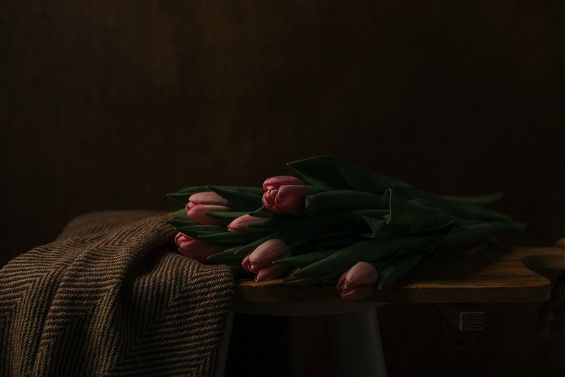 Tulips by Elena van der Veen