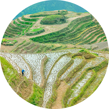 Longji rijst velden, Guangxi province, China van Ruurd Dankloff