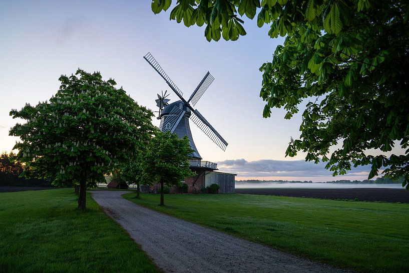 Amanda Mill, Stade, Lower Saxony, Germany by Alexander Ludwig
