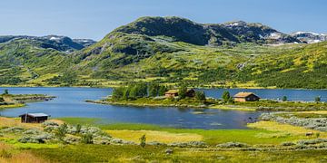 Norway in summer by Rainer Mirau