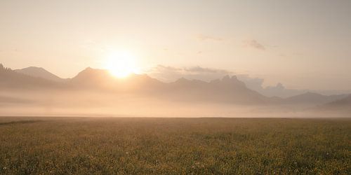 Goldener Morgen im Tannheimer Tal von Marcel Hechler