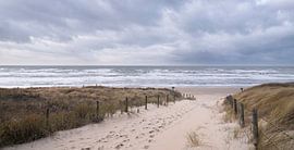 à la plage sur Arjan van Duijvenboden