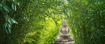 buddha statue in bamboo garden by Dörte Bannasch