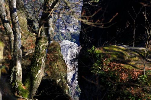 Elbe Sandstone Mountains in winter