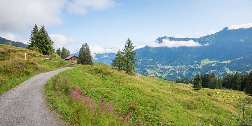 route from Murren to Grutschalp, Bernese Alps by SusaZoom