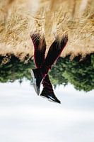 Airwalk