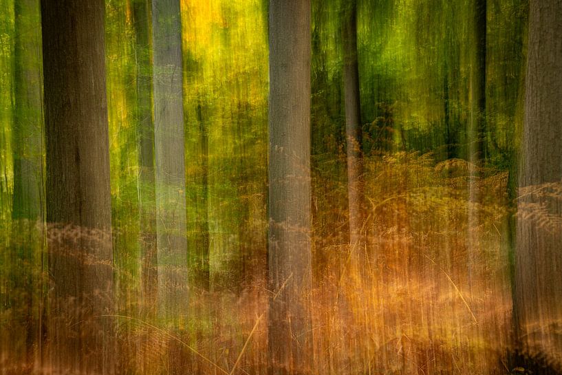 “Herfstritme” van Anneke Hooijer