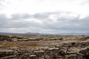 Landschaft im Þingvellir-Nationalpark Island | Reisefotografie von Kelsey van den Bosch