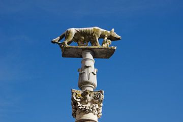 Siena: Sculptuur van een wolvin met de tweeling Senius en Aschius van Berthold Werner