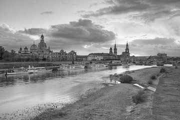 De skyline van Dresden in zwart-wit