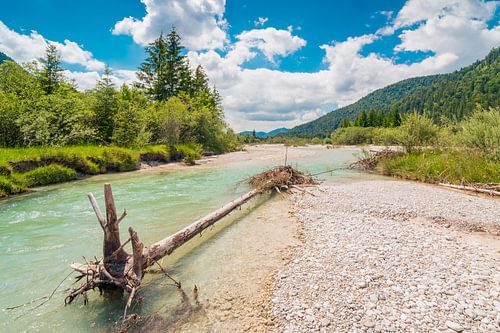 Wildes Isartal im Sommer von Martin Wasilewski