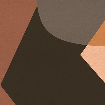 Organische en geometrische abstracte vormen nr. 1 van Dina Dankers