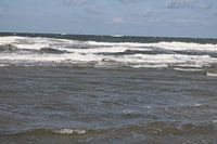 Têtes en mousse blanche