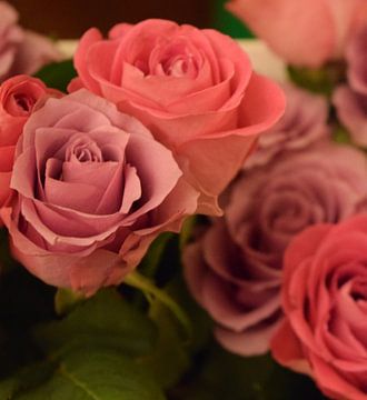 Vintage style foto van oud roze en lila rozen van Breezy Photography and Design