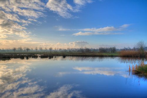 reflectie in de morgen