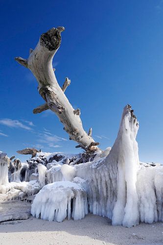 Eisriesen – Darß Weststrand im Winter 2018