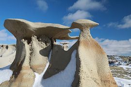 Bisti Badlands in de winter New Mexico, USA van Frank Fichtmüller