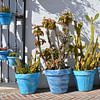 Pots de fleurs bleus colorés à Mijas en Espagne sur My Footprints