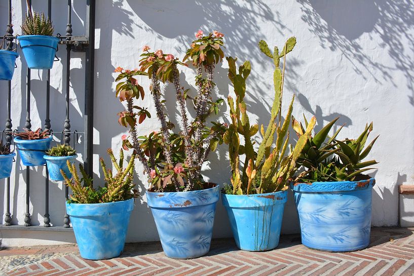 Bunte blaue Blumentöpfe in Mijas Spanien von My Footprints