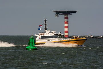 Loodsboot onderweg van op de Nieuwe Waterweg van scheepskijkerhavenfotografie