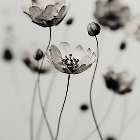 Stille Blüte von Cats & Dotz