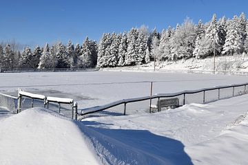 The sports ground in winter by Claude Laprise