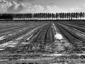 Gepflügtes Land von Jim van Iterson