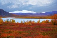 Im Hohen Norden - Schwedisch Lappland von Thomas Zacharias Miniaturansicht